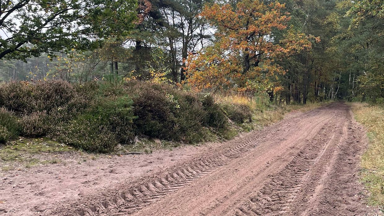 reitwege fuer herbstliche ausritte vorbereitet